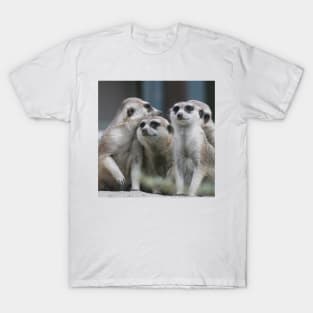 Meerkat 054 T-Shirt